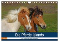 Die Pferde Islands - Ein Streifzug durch Island (Wandkalender 2026 DIN A4 quer), CALVENDO Monatskalender