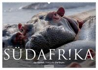 Südafrika - Die Tierwelt (Wandkalender 2026 DIN A2 quer), CALVENDO Monatskalender
