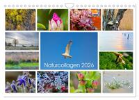 Naturcollagen 2026 (Wandkalender 2026 DIN A4 quer), CALVENDO Monatskalender