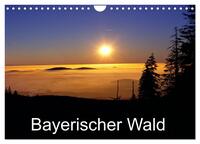 Bayerischer Wald (Wandkalender 2026 DIN A4 quer), CALVENDO Monatskalender