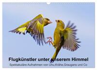 Flugkünstler unter unserem Himmel - Spektakuläre Aufnahmen von Uhu,Krähe,Graugans und Co (Wandkalender 2026 DIN A3 quer), CALVENDO Monatskalender