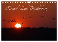 Kranich-Land Brandenburg (Wandkalender 2026 DIN A4 quer), CALVENDO Monatskalender