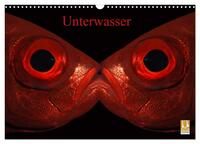 Unterwasser (Wandkalender 2026 DIN A3 quer), CALVENDO Monatskalender