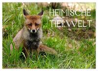 Heimische Tierwelt (Wandkalender 2026 DIN A2 quer), CALVENDO Monatskalender