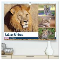 Katzen Afrikas (hochwertiger Premium Wandkalender 2026 DIN A2 quer), Kunstdruck in Hochglanz