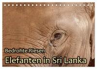 Bedrohte Riesen - Elefanten in Sri Lanka (Tischkalender 2026 DIN A5 quer), CALVENDO Monatskalender