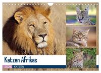 Katzen Afrikas (Wandkalender 2026 DIN A4 quer), CALVENDO Monatskalender
