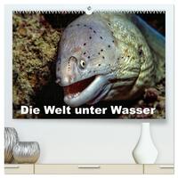 Die Welt unter Wasser (hochwertiger Premium Wandkalender 2026 DIN A2 quer), Kunstdruck in Hochglanz
