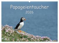 Papageientaucher 2026 (Wandkalender 2026 DIN A2 quer), CALVENDO Monatskalender