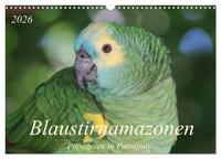Blaustirnamazonen - Papageien in Paraguay (Wandkalender 2026 DIN A3 quer), CALVENDO Monatskalender