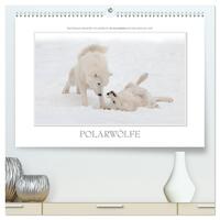 Emotionale Momente: Polarwölfe. / CH-Version (hochwertiger Premium Wandkalender 2026 DIN A2 quer), Kunstdruck in Hochglanz