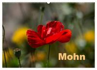 Mohn (Wandkalender 2026 DIN A2 quer), CALVENDO Monatskalender