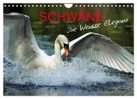 SCHWÄNE. (Wandkalender 2026 DIN A4 quer), CALVENDO Monatskalender