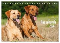 Rassehunde (Tischkalender 2026 DIN A5 quer), CALVENDO Monatskalender