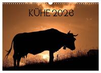 Kühe 2026 (Wandkalender 2026 DIN A3 quer), CALVENDO Monatskalender
