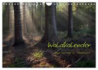 Waldkalender (Wandkalender 2026 DIN A4 quer), CALVENDO Monatskalender