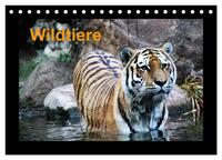 Wildtiere (Tischkalender 2026 DIN A5 quer), CALVENDO Monatskalender