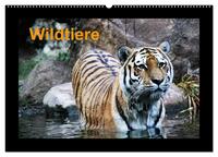 Wildtiere (Wandkalender 2026 DIN A2 quer), CALVENDO Monatskalender