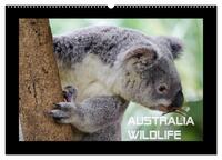 Australia Wildlife (Wandkalender 2026 DIN A2 quer), CALVENDO Monatskalender