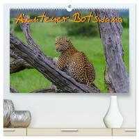 Abenteuer Botswana Afrika - Adventure Botswana (hochwertiger Premium Wandkalender 2026 DIN A2 quer), Kunstdruck in Hochglanz