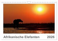 Afrikanische Elefanten (Wandkalender 2026 DIN A4 quer), CALVENDO Monatskalender