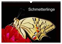 Schmetterlinge (Wandkalender 2026 DIN A3 quer), CALVENDO Monatskalender