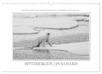 Spitzbergen Svalbard (Wandkalender 2026 DIN A3 quer), CALVENDO Monatskalender