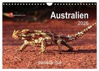 Australien tierisch gut 2026 (Wandkalender 2026 DIN A4 quer), CALVENDO Monatskalender