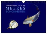Meeres Schönheiten (Wandkalender 2026 DIN A4 quer), CALVENDO Monatskalender