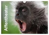 Affentheater (Wandkalender 2026 DIN A4 quer), CALVENDO Monatskalender