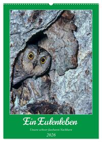 Ein Eulenleben, Unsere schwer fassbaren Nachbarn (Wandkalender 2026 DIN A2 hoch), CALVENDO Monatskalender