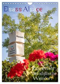 Elsass Alsace Riquewihr, das idyllische Weindorf (Wandkalender 2026 DIN A4 hoch), CALVENDO Monatskalender