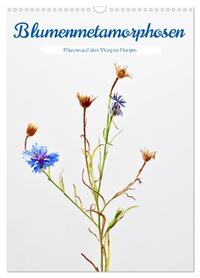 Blumenmetamorphosen (Wandkalender 2026 DIN A3 hoch), CALVENDO Monatskalender
