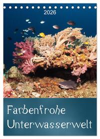 Farbenfrohe Unterwasserwelt (Tischkalender 2026 DIN A5 hoch), CALVENDO Monatskalender