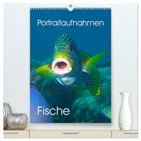 Portraitaufnahmen - Fische (hochwertiger Premium Wandkalender 2026 DIN A2 hoch), Kunstdruck in Hochglanz