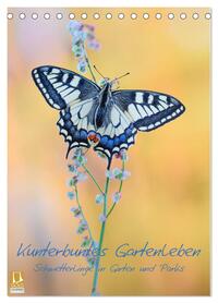 Kunterbuntes Gartenleben - Schmetterlinge in Gärten und Parks (Tischkalender 2026 DIN A5 hoch), CALVENDO Monatskalender