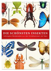 Die schönsten Insekten (Wandkalender 2026 DIN A3 hoch), CALVENDO Monatskalender