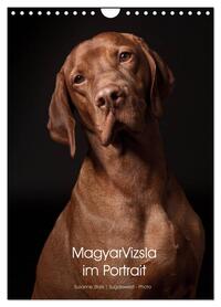 Magyar Vizsla im Portrait (Wandkalender 2026 DIN A4 hoch), CALVENDO Monatskalender