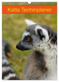 Katta Terminplaner (Wandkalender 2026 DIN A3 hoch), CALVENDO Monatskalender