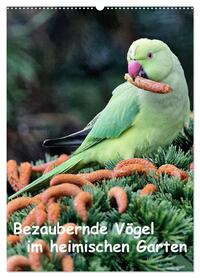 Bezaubernde Vögel im heimischen Garten (Wandkalender 2026 DIN A2 hoch), CALVENDO Monatskalender