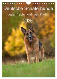 Deutsche Schäferhunde - Seelentröster auf vier Pfoten (Wandkalender 2026 DIN A4 hoch), CALVENDO Monatskalender