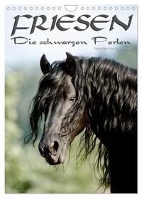 Friesen - die schwarzen Perlen (Wandkalender 2026 DIN A4 hoch), CALVENDO Monatskalender