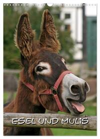 Esel und Mulis (Wandkalender 2026 DIN A3 hoch), CALVENDO Monatskalender
