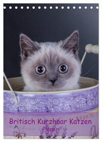 Britisch Kurzhaar Katzen - Planer (Tischkalender 2026 DIN A5 hoch), CALVENDO Monatskalender