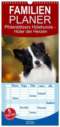 Familienplaner 2026 - Pfotenblitzers Hütehunde - Hüter der Herzen mit 5 Spalten (Wandkalender, 21 x 45 cm) CALVENDO