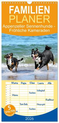 Familienplaner 2026 - Appenzeller Sennenhunde - Fröhliche Kameraden mit 5 Spalten (Wandkalender, 21 x 45 cm) CALVENDO