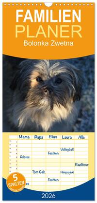 Familienplaner 2026 - Bolonka Zwetna mit 5 Spalten (Wandkalender, 21 x 45 cm) CALVENDO