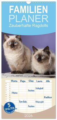 Familienplaner 2026 - Zauberhafte Ragdolls mit 5 Spalten (Wandkalender, 21 x 45 cm) CALVENDO