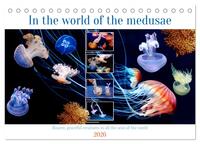 In the world of the medusae (Desk Calendar 2026 DIN A5 landscape), CALVENDO 12 Month DeskCalendar