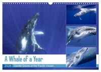 A Whale of a Year (Wall Calendar 2026 DIN A3 landscape), CALVENDO 12 Month Wall Calendar
